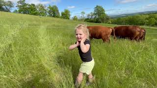 Checking cows with Parker [upl. by Landan]