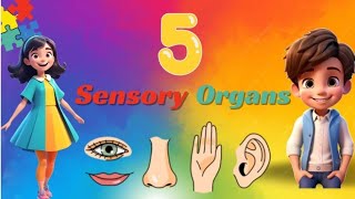 Sensory organs Educational videos for kids  Linex Learning🌈 [upl. by Bonilla]