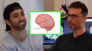 What Is Consciousness Neuroscientist Explains  DEEP LEARNING Ep5 [upl. by Reseta]