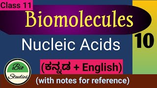 Class 11  Biomolecules  Nucleic Acids  10 [upl. by Nosnek684]