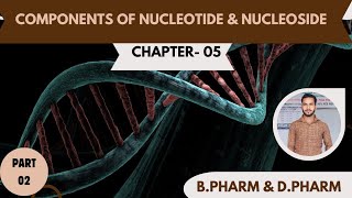 Nucleosides and Nucleotides  Nucleoside Nucleoside and Nucleotide mein antar [upl. by Letisha]