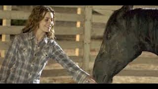 Flicka Full Movie Fact Review amp Information  Alison Lohman  Tim McGraw [upl. by Ehgit]