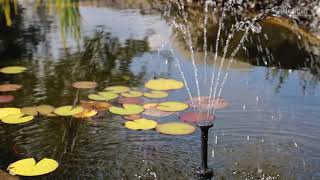 CLGarden kleine Solarpumpe NKASP4 mit Akku und LED für Gartenteich Miniteich Wasserspeier [upl. by Aisul117]