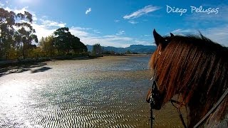 Enjoy beach horseback riding in Spain [upl. by Pfeffer]