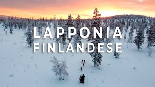 LAPPONIA FINLANDESE Rovaniemi Husky safari e aurora boreale 🇫🇮🎅🏻🐺💚 [upl. by Lilahk]