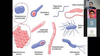 Lecture 15 plasmid and episomes [upl. by Russo27]