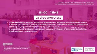 La drépanocytose  Journées des Maladies Rares 2021 Imagine [upl. by Emelia]