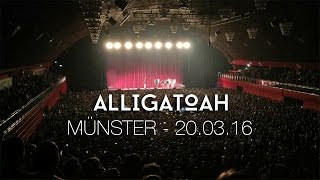 Alligatoah  Live in Münster 20032016  Halle Münsterland [upl. by Rodd]