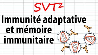 Immunité adaptative et mémoire immunitaire SVT²révisions BAC [upl. by Edyak]