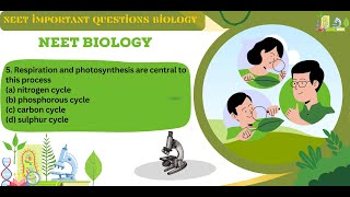 Respiration and photosynthesis are central to this process  Carbon Cycle [upl. by Nylarat]