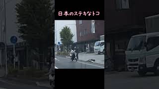 日本のステキなトコ 見て幸せな気持ちになる映像素敵日本のステキなところ猫女子高生明日への手紙 [upl. by Cown]