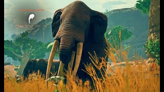 Miocene Elephant Location In Ancestors The Humankind Odyssey ep1 [upl. by Doreg]