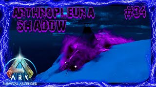 Arthropleura shadow Ark Primal Chaos ep34 ita [upl. by Kielty]