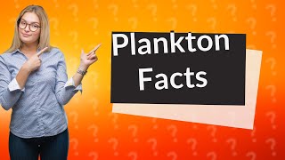 Is plankton a plant [upl. by Attenrad697]