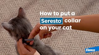 How to Put a Seresto® Collar on Your Cat [upl. by Snahc]